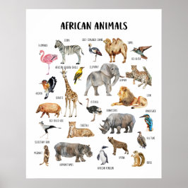 Afrikanska djur pedagogisk klassrumsaffisch poster