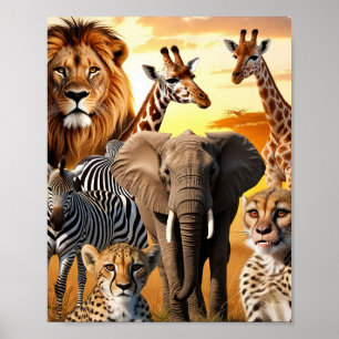 Afrikanska djur poster