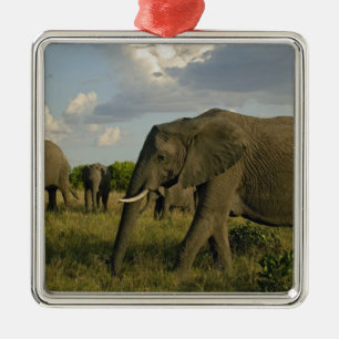 Afrikanska elefanter betar, Loxodonta africana, Julgransprydnad Metall