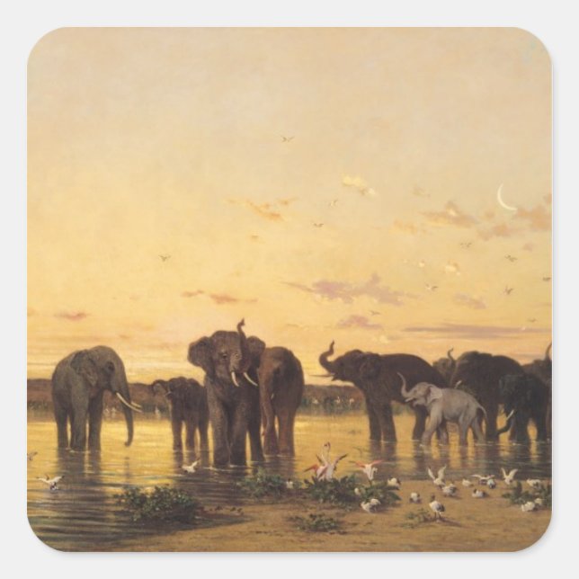 Afrikanska elefanter fyrkantigt klistermärke (Framsida)