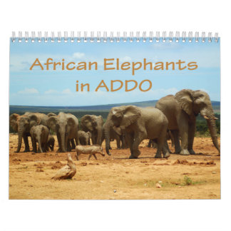 Afrikanska elefanter i den Addo kalendern Kalender