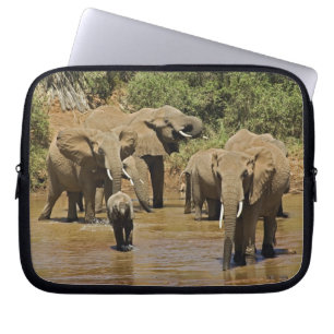 Afrikanska elefanter, Loxodonta Africana, Samburu Laptop Sleeve