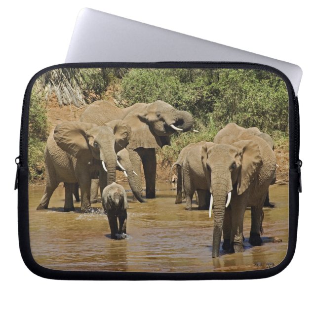 Afrikanska elefanter, Loxodonta Africana, Samburu Laptop Sleeve (Framsidan)