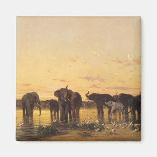Afrikanska elefanter magnet