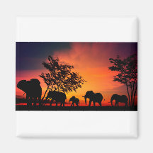 Afrikanska elefanter på serengeti-slätterna