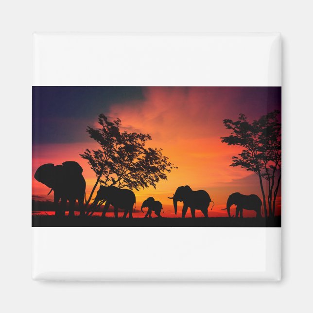 Afrikanska elefanter på serengeti-slätterna magnet (Framsidan)