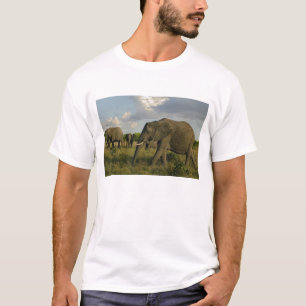 Afrikanska elefanter som betar, Loxodonta africana Tröja
