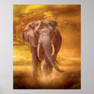 Afrikanska elnätsavgifter"NOBILITY" Poster
