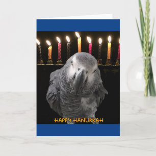 Afrikanska Grått Parrot Hanukkah-kort Helgkort