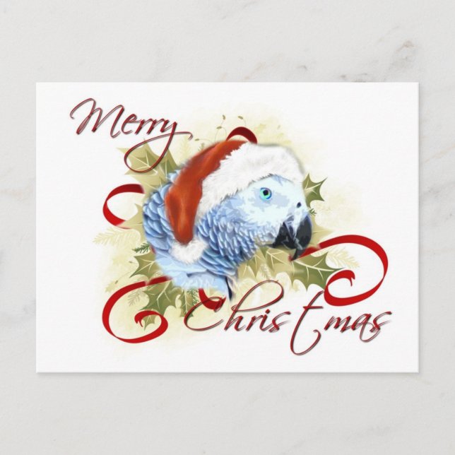 Afrikanska Grått Parrot-julkort Helg Vykort (Framsida)