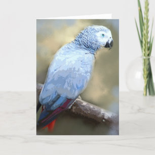 Afrikanska Grått Parrot Porträtt-kort Kort
