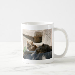 Afrikanska Lejon Kaffemugg