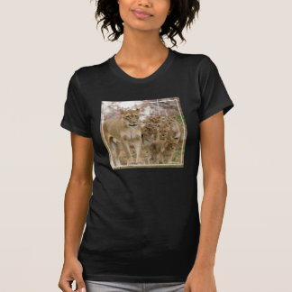 Afrikanska lejona ungar med modern t shirt