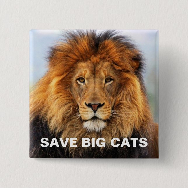 Afrikanska Lejonare 1 Knapp (Framsida)