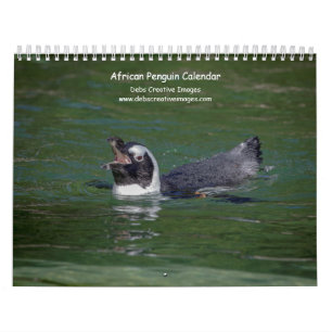 Afrikanska penguiner 2026 kalender