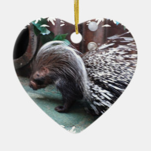 Afrikanska Porcupineprydnadar Julgransprydnad Keramik