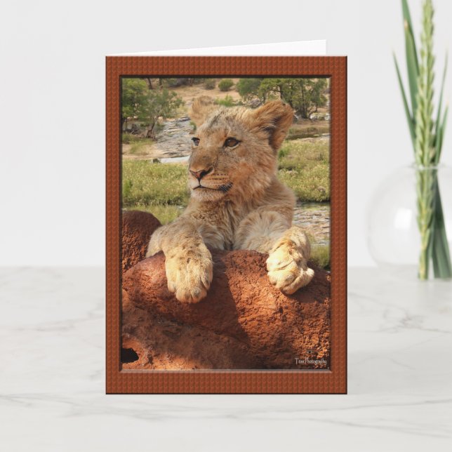 Afrikanska Proverbhälsningkort Kort (Framsida)