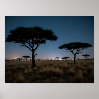 Afrikanska savannens akacieträd stjärnor nattlands poster