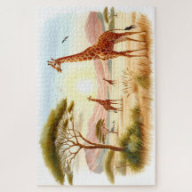 Afrikanska savannens giraffer solnedgång