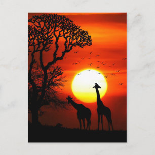 Afrikanska Silhouettes för Safarisolnedgånggiraff Vykort