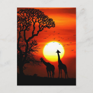 Afrikanska Silhouettes för Safarisolnedgånggiraff Vykort