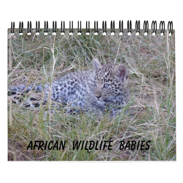 AFRIKANSKA VILDLIVSBABYS KALENDER (Omslag)