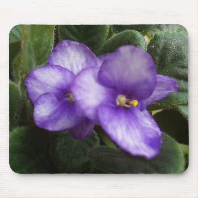 Afrikanska Violets Mousepad Musmatta (Framsidan)