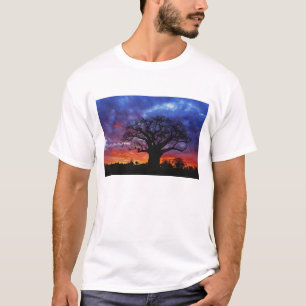Afrikanskt baobabträd, Adansonia digitata, 2 Tröja