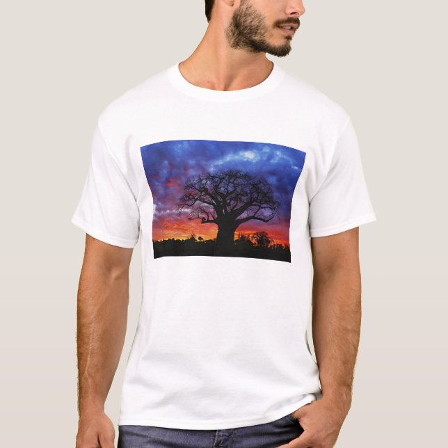 Afrikanskt baobabträd, Adansonia digitata, 2 Tröja (Framsida)