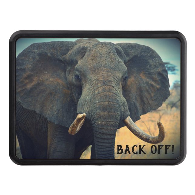 Afrikanskt elefant nära dragkroksskydd (Framsidan)