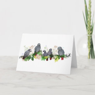Afrikanskt Grått Parrot Party-kort Kort