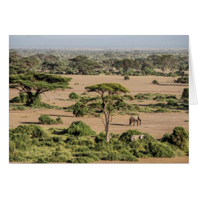 Afrikanskt landskap med elefant hälsningskort (Framsidan Horizontal)