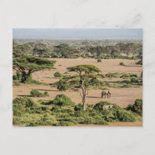 Afrikanskt landskap med elefant vykort