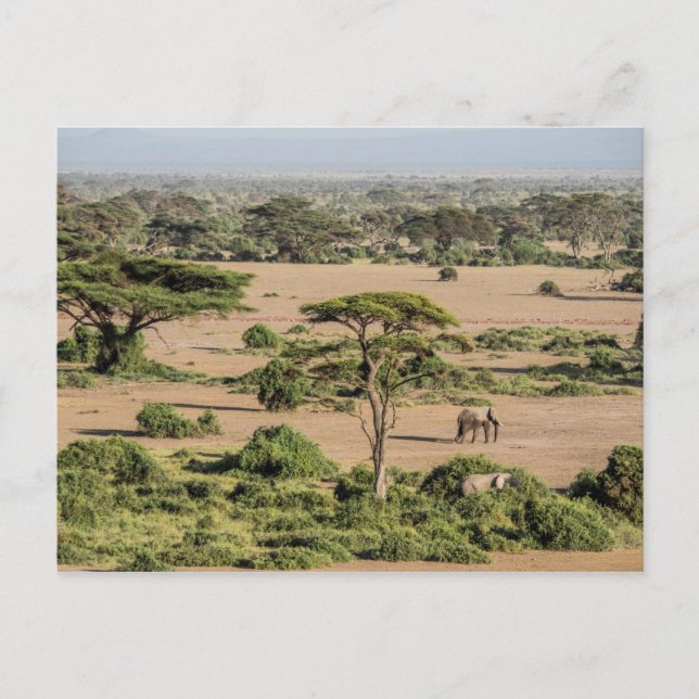 Afrikanskt landskap med elefant vykort (Framsida)