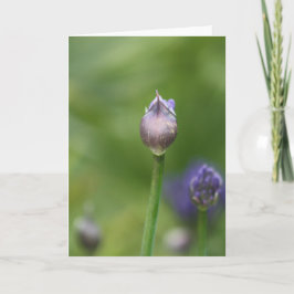 Afrikanskt Lily-kort Tack Kort