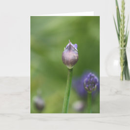 Afrikanskt Lily-kort Tack Kort