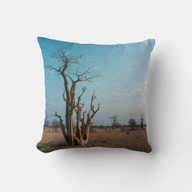 Afrikanskt Moringo-Träd på Slätt, Etosha National Kudde (Framsida)