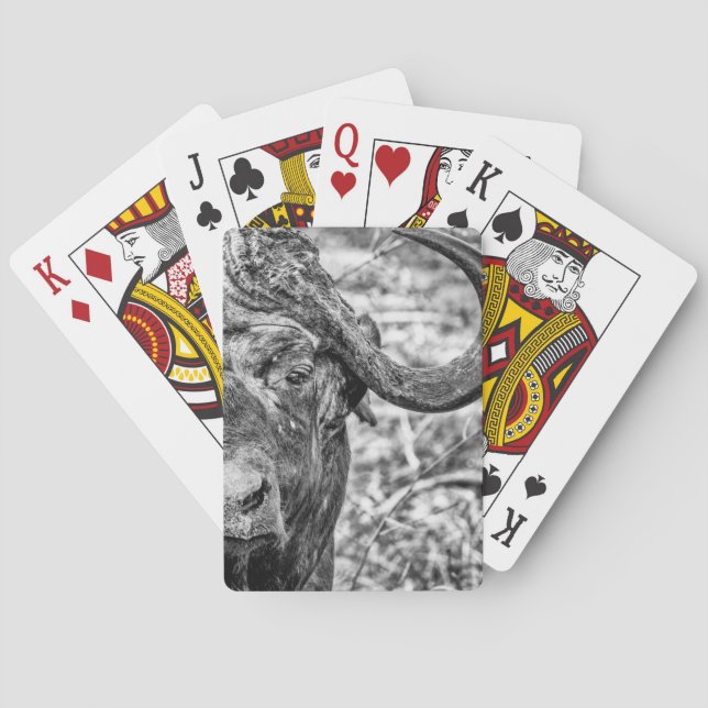 Afrikanskt uddbuffelporträtt som leker kort casinokort (Baksidan)