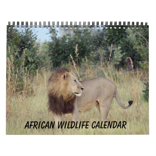 AFRIKANSKT VILDLIVSKALENDER KALENDER (Omslag)