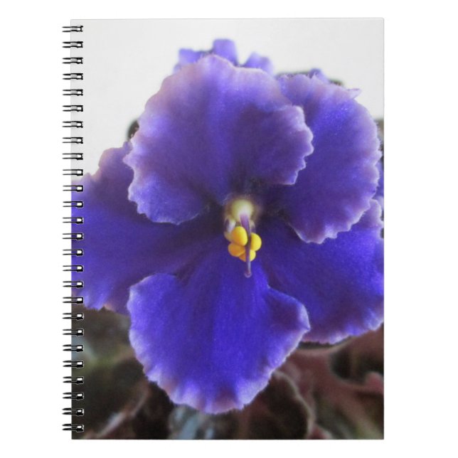 Afrikanskt violett blomma anteckningsbok med spiral (Framsidan)
