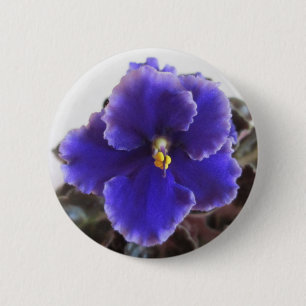 Afrikanskt violett blomma knapp