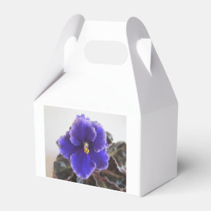 Afrikanskt violett blomma presentaskar