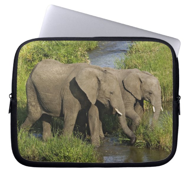 Afrikas elefantplan Masai Mara Laptop Sleeve (Framsidan)