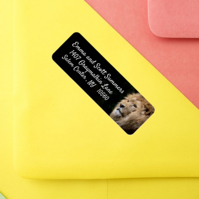 Afrikas Lejona Adressetiketter för djur Returadress Etikett (Skapare uppladdad)