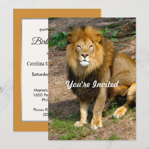 Afrikas Lejona fotofödelsedag i Sitta Inbjudningar