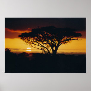 afrikasolnedgång poster
