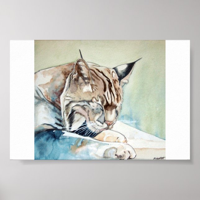AFter-servertvätt - Bobcat Poster (Framsidan)