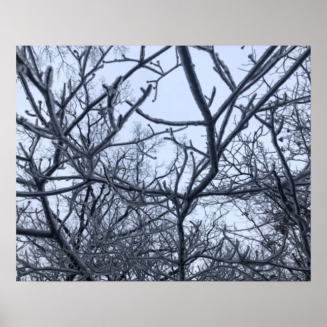 After The Ice Storm Poster (Framsidan)