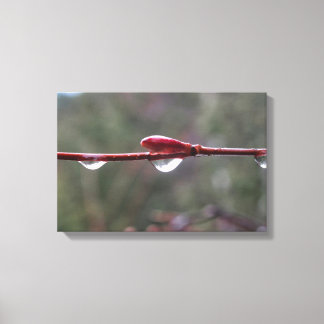 After the Rain Canvastryck