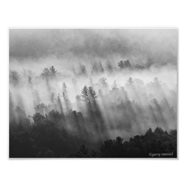 After the Rain - Early Morning in the Adirondacks Fototryck (Framsidan)